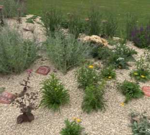 Blühendes Neresheim