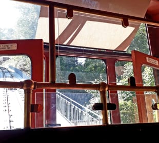 Fahrt mit der Königstuhlbahn