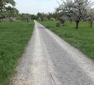 Walderlebnisweg Rottenburg