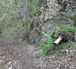 Wanderung rund um das Rusenschloss Gerhausen