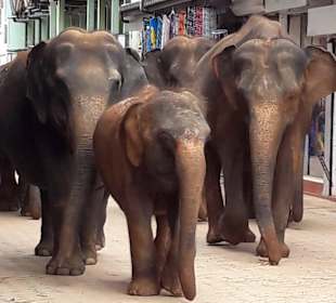 Der Weg vom Fluss zum Reservat
