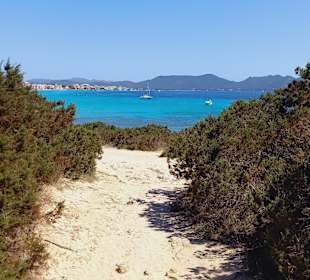 Wandern Cala Millor