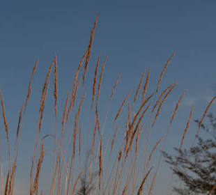 Droga na Baranią Górę