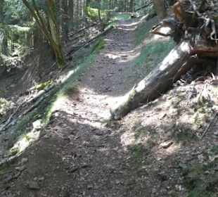 Unterwegs im Thüringer Wald bei Friedrichroda