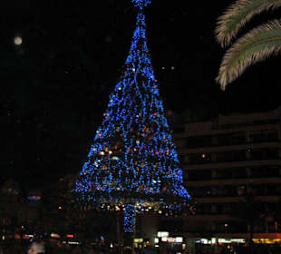 Weihnachtskrippe 2007
