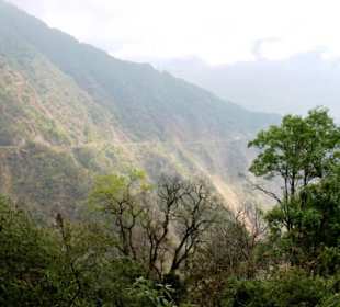 Restaurant Dantak Canteen