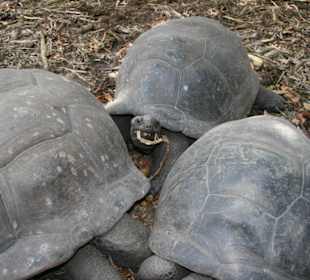 La Digue, L’Union Estate Naturschutzpark