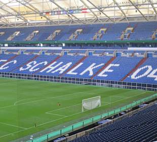 Veltins Arena