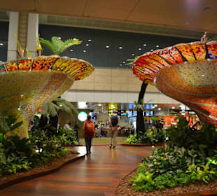 Flughafen Singapur Changi (SIN)
