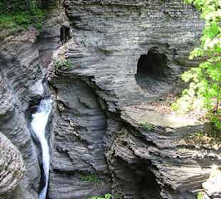 Watkins Glen