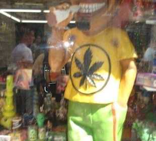 Vacaciones perfectas con amigos