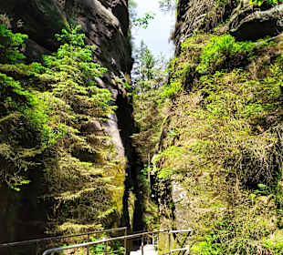 Schwedenlöcher 