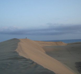 Dünen von Maspalomas