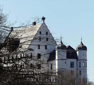 Vöhlinschloss mit Storchennest