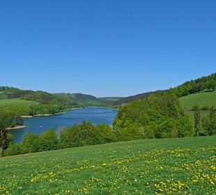 Hennesee
