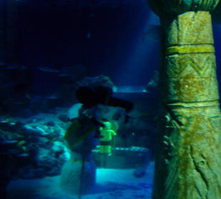 Legoland Deutschland