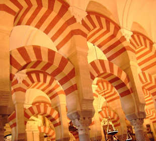 Mezquita - Säulenwald (2)