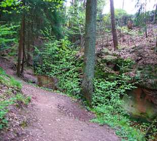 Die Bitterbachschlucht
