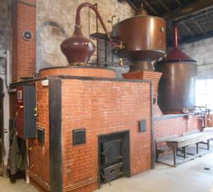 Weingut Guillon-Painturaud