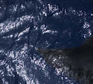 Schnorcheln mit delfinen im Hausriff -Marsa Alam 