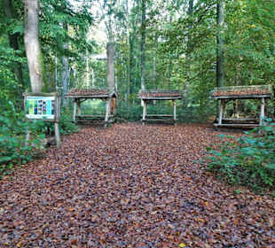 Das Waldklassenzimmer im Kurpark