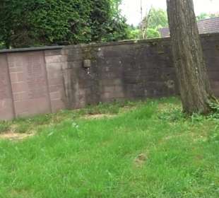 Johanneskirche Grüntal