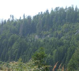 Parcul Natural Apuseni