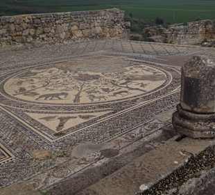 Mosaikdarstellungen Volubilis