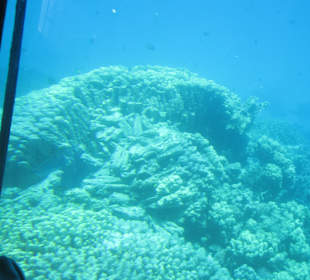 Schnorcheln Hurghada