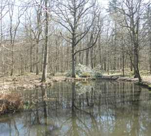 Am Zypressensee auf dem Schwanberg
