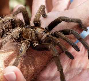 Nature Complete Tour  - cool ...