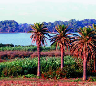 Park Narodowy Circeo