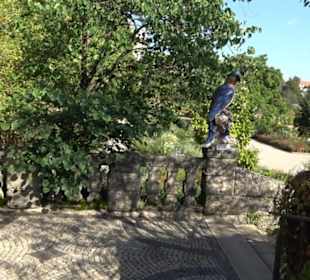 Botanischer Garten München