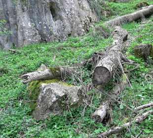 Wanderung rund um das Rusenschloss Gerhausen