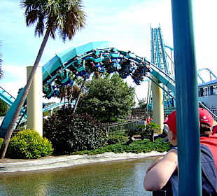 Sea World