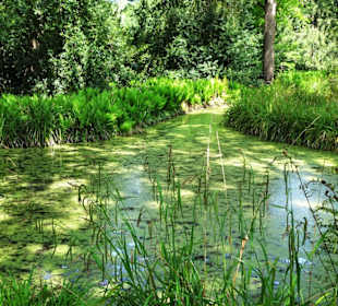Eindrücke vom Rundgang durch den Berggarten