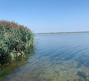 Wandern Löbnitz (Sachsen)