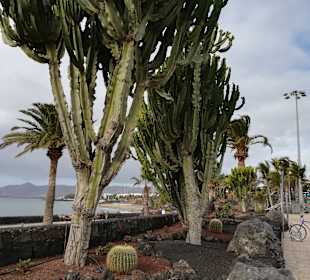 Strandpromenade Puerto del Carmen