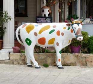 Das ist nicht die "lila Kuh"