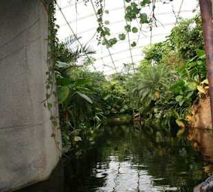 Bootsfahrt Gondwanaland