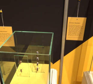 Museum Natur und Mensch