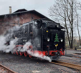 Stadtrundfahrt Moritzburg