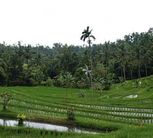 Impressionen aus Bali