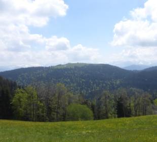 Wanderung am Pfänder