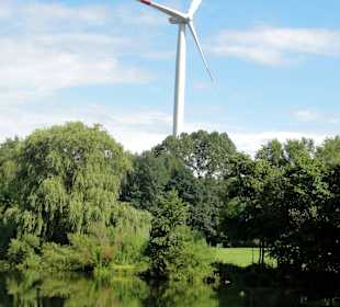 Spaziergang um den Waller Feldmarksee