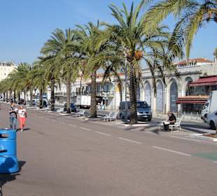 Palmenallee