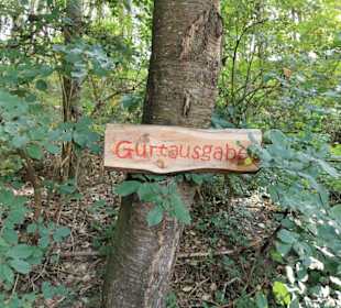 Gurtabgabe