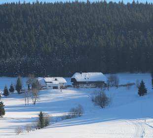 Dorf Herrenschwand, hat nur das Restaurant Waldfrieden