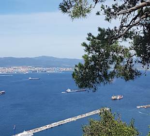 Ausflug nach Gibraltar