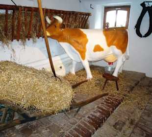 Szene aus dem Kuhstall